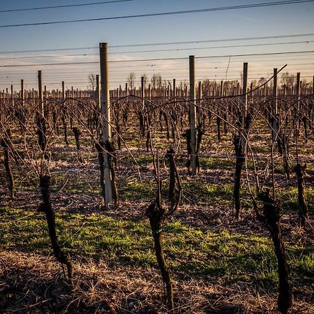 Agriturismo Il Casone Zoppola エクステリア 写真